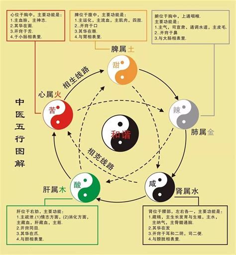 股票 五行|股票在五行学说中属于什么属性？这种属性如何影响投资策略？